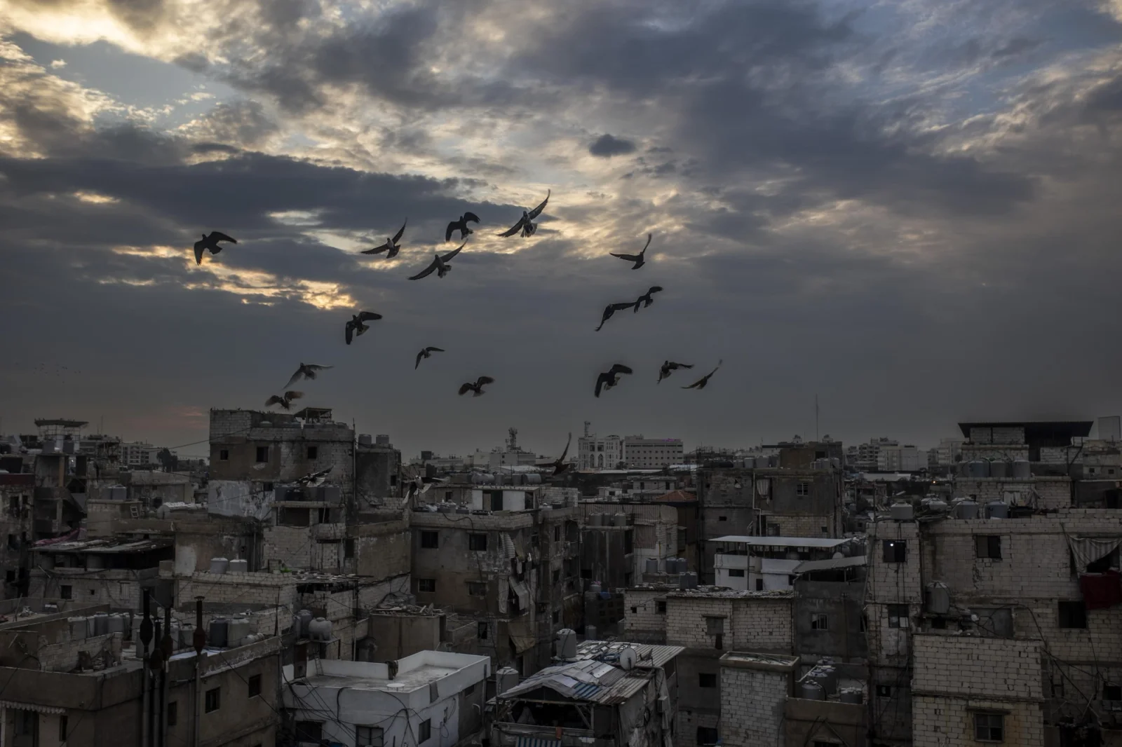 Campo de refugiados palestinos de Shatila situado en Beirut. Fue creado en 1949 para los miles de palestinos que huián de la Nakba, expulsados por las tropas israelíes. Se estima que viven unas 22.000 personas. En 1982 durante la guerra en el Líbano este campo sufrió la conocida como masacre de Sabra y Shatila. Miembros de las milicias falangistas libanesas entraron en el campo y durante 3 dias asesinaron con la inacción del ejército de Israel a más de 3,000 palestinos. La Asamblea General de la ONU calificó esta masacre como genocidio,dictaminó que Israel, como la potencia ocupante de los campamentos era responsable de la violencia acontecida en ellos